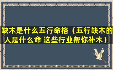 缺木是什么五行命格（五行缺木的人是什么命 这些行业帮你补木）